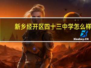 新乡经开区四十三中学怎么样