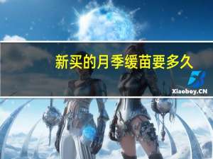 新买的月季缓苗要多久