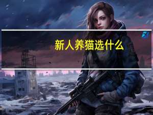 新人养猫选什么