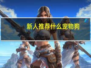 新人推荐什么宠物狗
