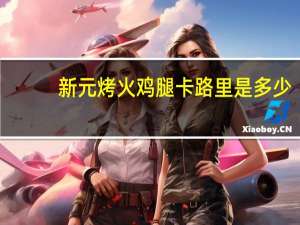 新元 烤火鸡腿卡路里是多少