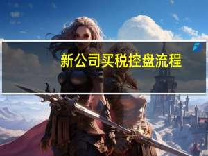 新公司买税控盘流程（新公司申请税控盘流程）