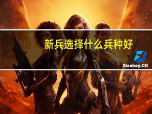 新兵选择什么兵种好