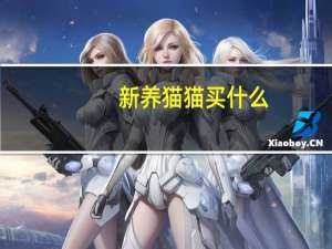 新养猫猫买什么