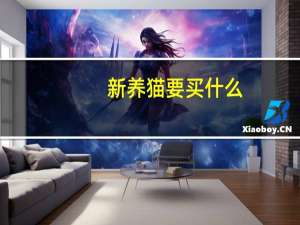 新养猫要买什么