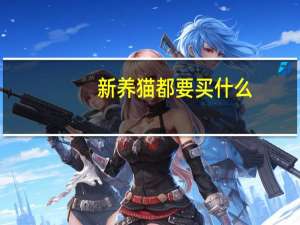 新养猫都要买什么