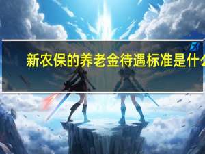 新农保的养老金待遇标准是什么