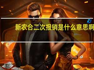 新农合二次报销是什么意思啊