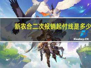新农合二次报销起付线是多少