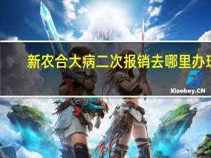 新农合大病二次报销去哪里办理