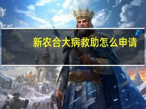 新农合大病救助怎么申请