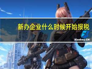 新办企业什么时候开始报税