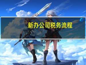 新办公司税务流程