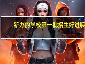 新办的学校第一批招生好进嘛
