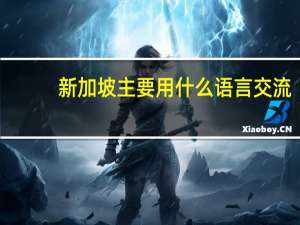 新加坡主要用什么语言交流