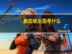 新加坡出国考什么