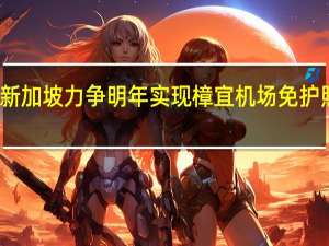 新加坡力争明年实现樟宜机场免护照出境