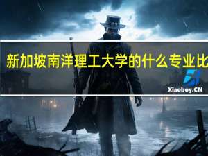 新加坡南洋理工大学的什么专业比较好