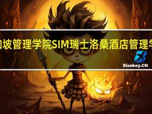 新加坡发展管理学院MDIS 新加坡管理学院SIM 瑞士洛桑酒店管理学院EHL 读过的哥哥姐姐帮忙呀！！！