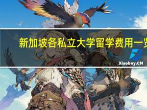 新加坡各私立大学留学费用一览