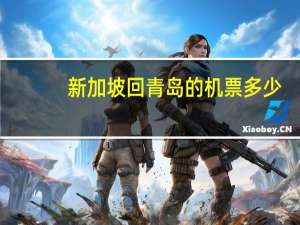 新加坡回青岛的机票多少