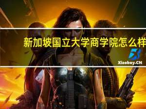新加坡国立大学商学院怎么样