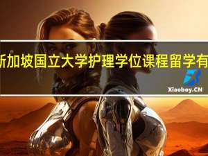 新加坡国立大学护理学位课程留学有前途吗