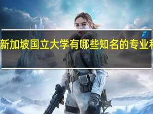 新加坡国立大学有哪些知名的专业和学科