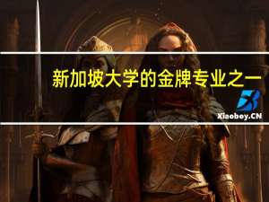 新加坡大学的金牌专业之一-物流与供应链管理专业，就业机会多发展前景广阔！