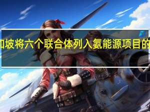 新加坡将六个联合体列入氨能源项目的候选名单
