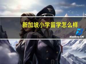 新加坡小学留学怎么样