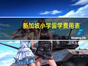 新加坡小学留学费用表
