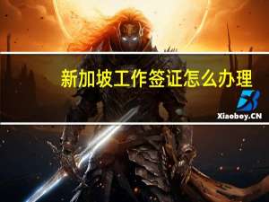 新加坡工作签证怎么办理