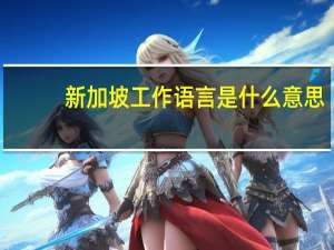 新加坡工作语言是什么意思