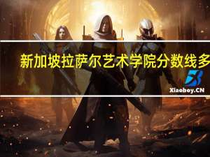 新加坡拉萨尔艺术学院分数线多少