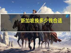新加坡换多少钱合适