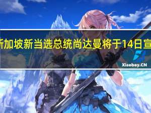 新加坡新当选总统尚达曼将于14日宣誓就职