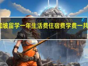 新加坡留学一年生活费住宿费学费一共大概多少