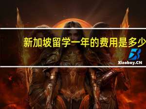 新加坡留学一年的费用是多少