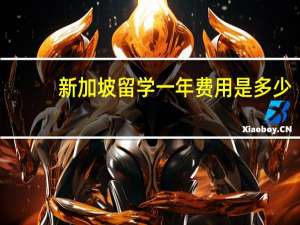 新加坡留学一年费用是多少