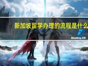 新加坡留学办理的流程是什么