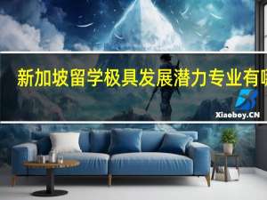 新加坡留学极具发展潜力专业有哪些