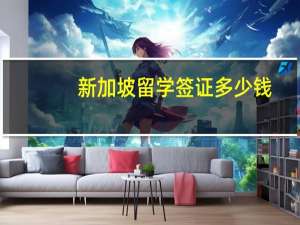 新加坡留学签证多少钱