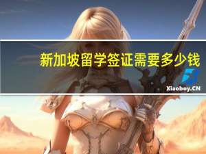 新加坡留学签证需要多少钱