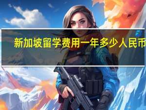 新加坡留学费用一年多少人民币啊（新加坡留学费用一年多少人民币）