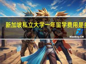 新加坡私立大学一年留学费用是多少