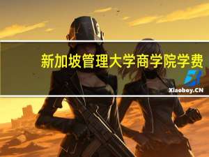 新加坡管理大学商学院学费