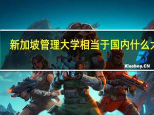 新加坡管理大学相当于国内什么大学