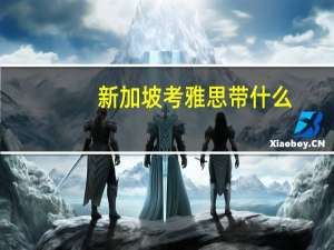 新加坡考雅思带什么