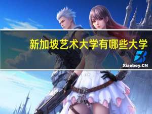 新加坡艺术大学有哪些大学